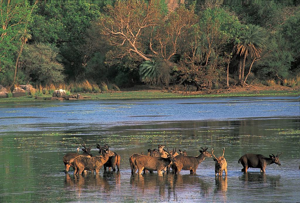 The Oberoi Vanyavilas Wildlife Resort, Ranthambhore Савай-Мадгопур Екстер'єр фото